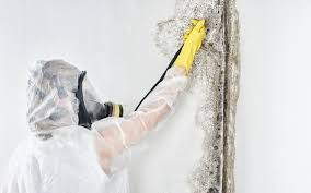 Best Mold Prevention Services  in Woburn, MA